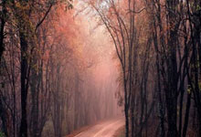 新疆首进附加赛，12进8横扫没悬念，期待疆辽对决，赵睿或成X因素.