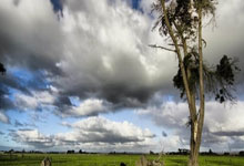 亿万28官网：[CBA]赵畇：关键时刻的稳定性 决定两队成败.